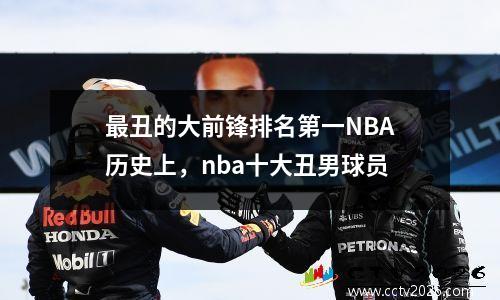 最丑的大前锋排名第一NBA历史上，nba十大丑男球员