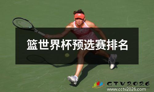篮世界杯预选赛排名