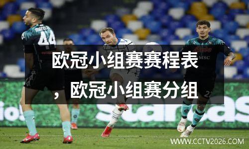 欧冠小组赛赛程表，欧冠小组赛分组