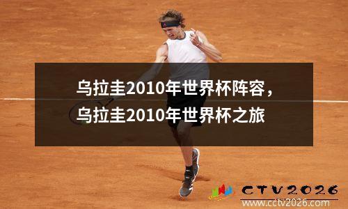 乌拉圭2010年世界杯阵容，乌拉圭2010年世界杯之旅