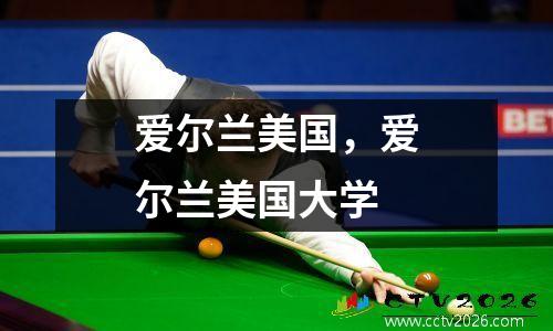 爱尔兰美国，爱尔兰美国大学