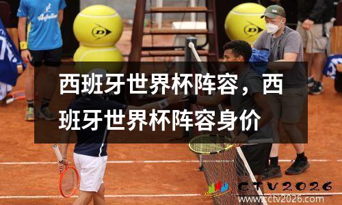 西班牙世界杯阵容，西班牙世界杯阵容身价