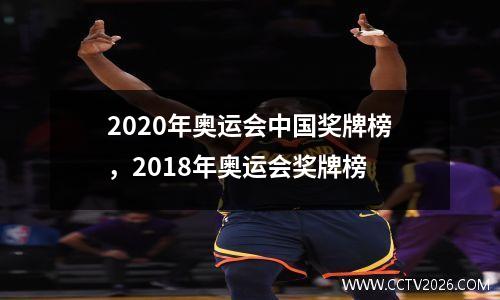 2020年奥运会中国奖牌榜，2018年奥运会奖牌榜