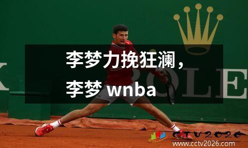 李梦力挽狂澜，李梦 wnba