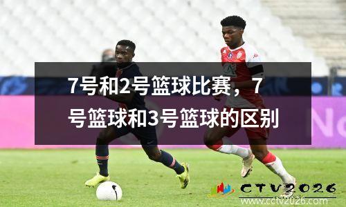 7号和2号篮球比赛，7号篮球和3号篮球的区别