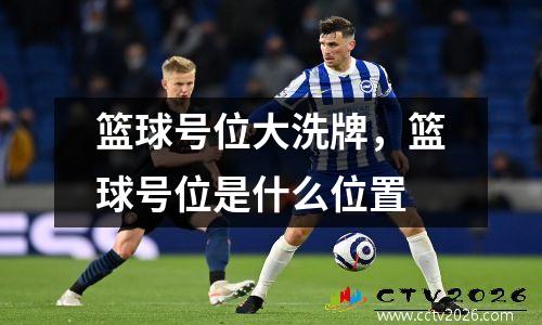 篮球号位大洗牌，篮球号位是什么位置