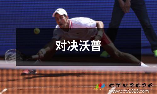 对决沃普