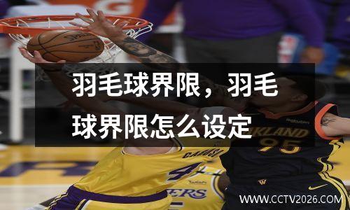 羽毛球界限，羽毛球界限怎么设定
