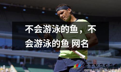 不会游泳的鱼，不会游泳的鱼 网名