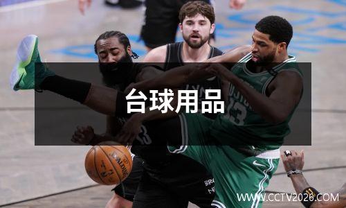 台球用品
