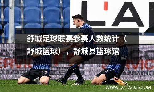 舒城足球联赛参赛人数统计（舒城篮球），舒城县篮球馆