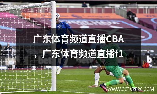 广东体育频道直播CBA，广东体育频道直播f1