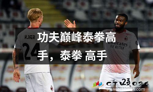 功夫巅峰泰拳高手，泰拳 高手