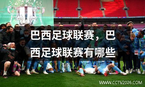 巴西足球联赛，巴西足球联赛有哪些