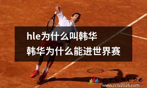 hle为什么叫韩华 韩华为什么能进世界赛