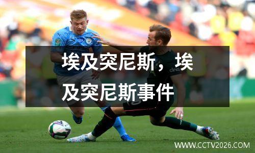 埃及突尼斯，埃及突尼斯事件