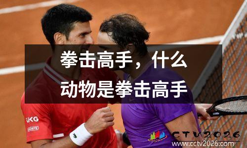 拳击高手，什么动物是拳击高手