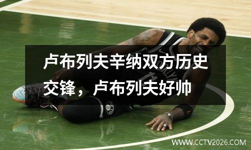 卢布列夫辛纳双方历史交锋，卢布列夫好帅