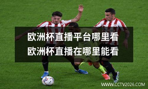 欧洲杯直播平台哪里看 欧洲杯直播在哪里能看