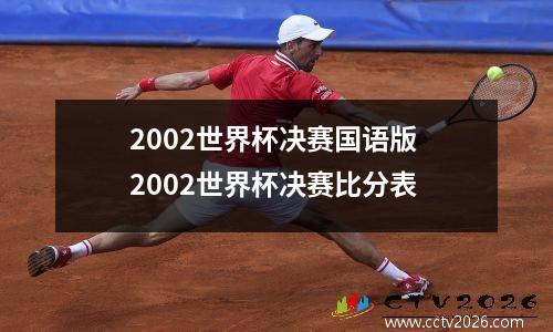 2002世界杯决赛国语版 2002世界杯决赛比分表