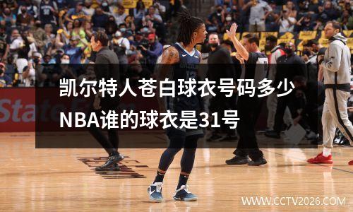 凯尔特人苍白球衣号码多少NBA谁的球衣是31号