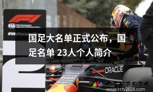 国足大名单正式公布，国足名单 23人个人简介