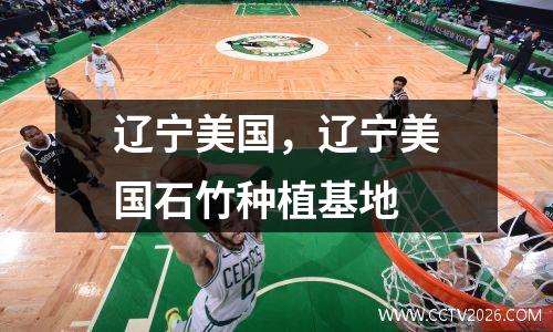 辽宁美国，辽宁美国石竹种植基地