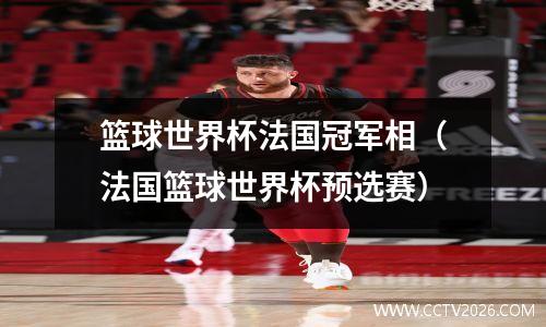 篮球世界杯法国冠军相（法国篮球世界杯预选赛）