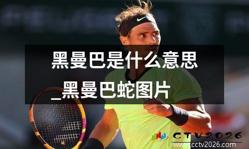 黑曼巴是什么意思_黑曼巴蛇图片