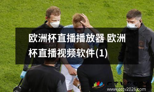 欧洲杯直播播放器 欧洲杯直播视频软件(1)