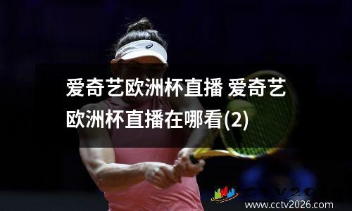 爱奇艺欧洲杯直播 爱奇艺欧洲杯直播在哪看(2)