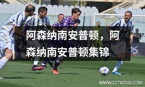 阿森纳南安普顿，阿森纳南安普顿集锦