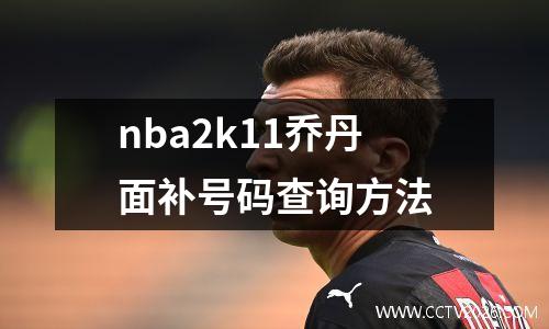 nba2k11乔丹面补号码查询方法