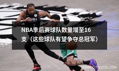 NBA季后赛球队数量增至16支（这些球队有望争夺总冠军）