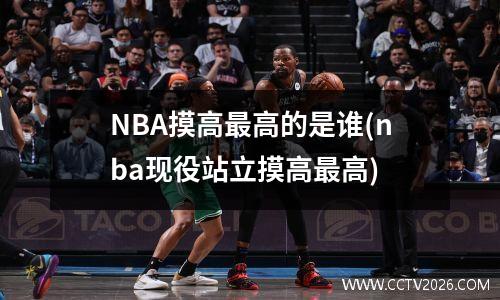 NBA摸高最高的是谁(nba现役站立摸高最高)
