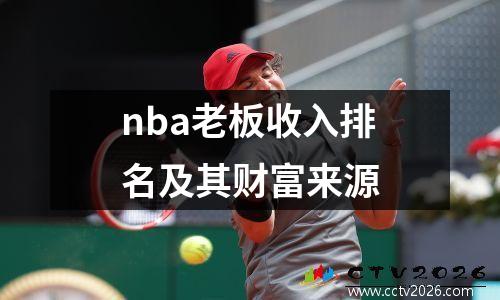 nba老板收入排名及其财富来源