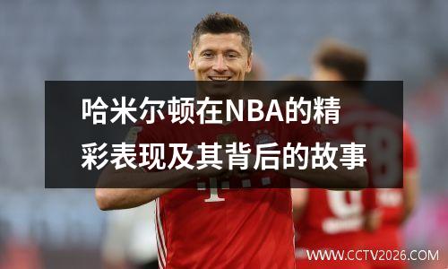 哈米尔顿在NBA的精彩表现及其背后的故事