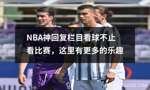 NBA神回复栏目看球不止看比赛，这里有更多的乐趣