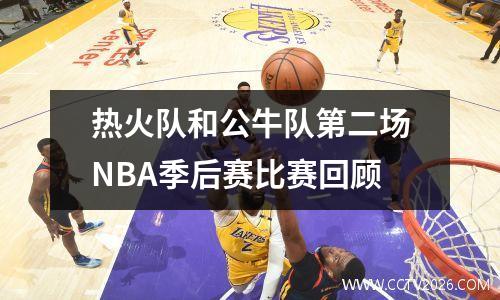 热火队和公牛队第二场NBA季后赛比赛回顾
