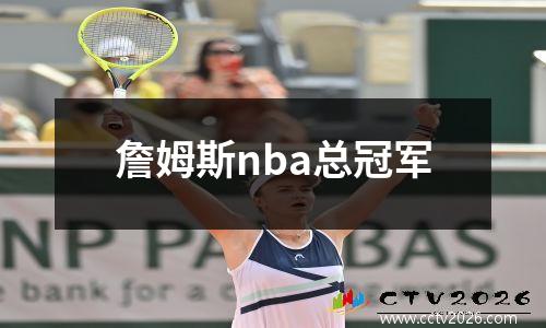 詹姆斯nba总冠军
