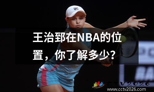 王治郅在NBA的位置，你了解多少？