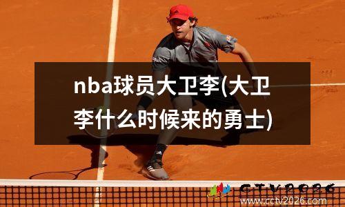 nba球员大卫李(大卫李什么时候来的勇士)