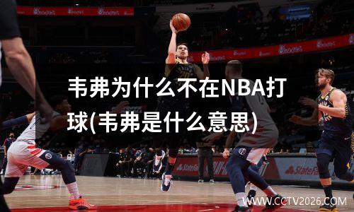 韦弗为什么不在NBA打球(韦弗是什么意思)