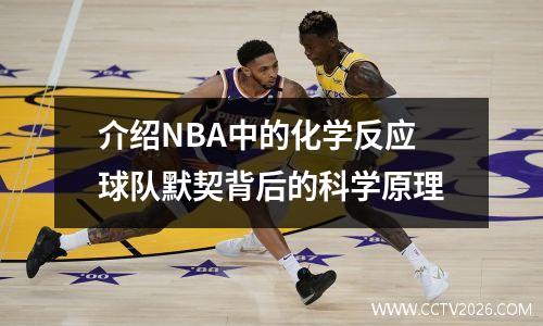 介绍NBA中的化学反应球队默契背后的科学原理