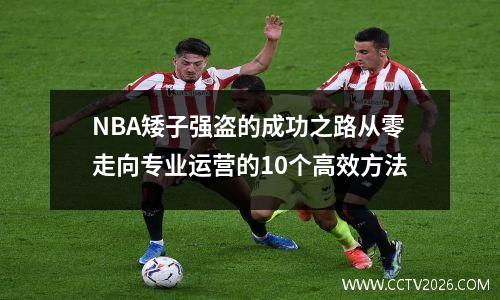 NBA矮子强盗的成功之路从零走向专业运营的10个高效方法