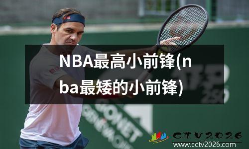 NBA最高小前锋(nba最矮的小前锋)