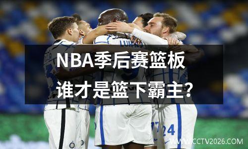 NBA季后赛篮板谁才是篮下霸主？