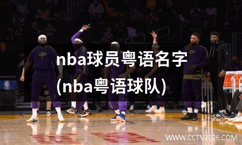 nba球员粤语名字(nba粤语球队)