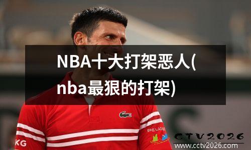NBA十大打架恶人(nba最狠的打架)