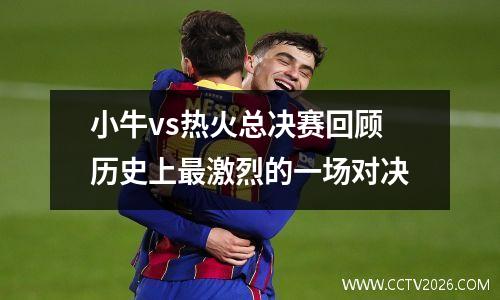 小牛vs热火总决赛回顾历史上最激烈的一场对决